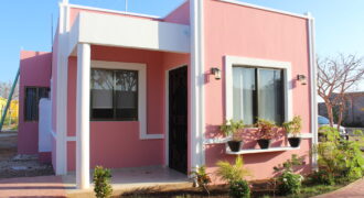 Villa modelo palmera