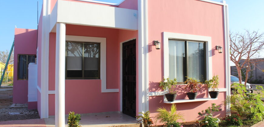 Villa modelo palmera