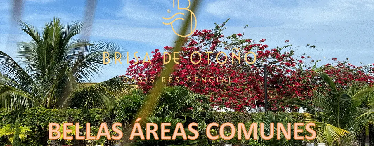 AREAS COMUNES