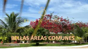 AREAS COMUNES